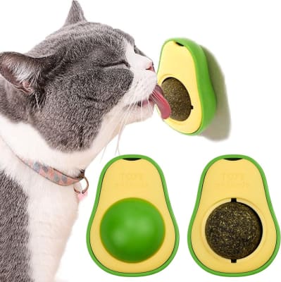 PALTA CON CATNIP