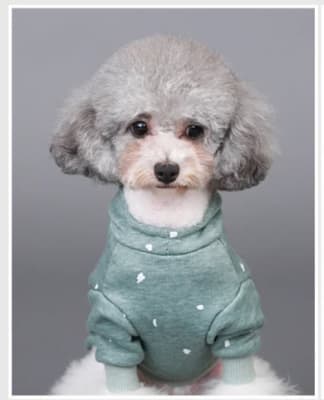 HOOPET CHOMPA CON CAPUCHA VERDE CON MANCHAS BLANCAS Mr-S