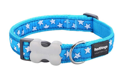 REDDINGO COLLAR DOG STAR TURQUOISE1