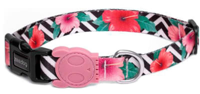 ZEEDOG COLLAR MAHALO