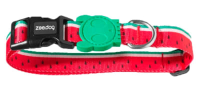 ZEEDOG COLLAR LOLA1