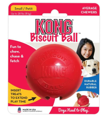 KONG SMALL BISCUIT BALL1