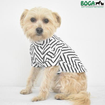 BOGA CAFARENA BLANE PICOS1