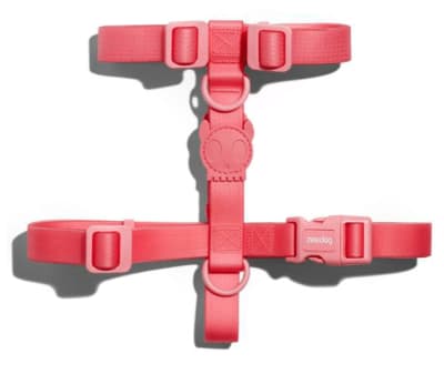 ZEEDOG ARNES NEOPRENO BUBBLEGUM1