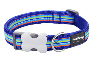 REDDINGO COLLAR DOG HORIZONTAL STRIPES NAVY1