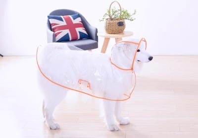 HOOPET IMPERMEABLE TRANSPARENTE CON NARANJA-TALLA 6XL