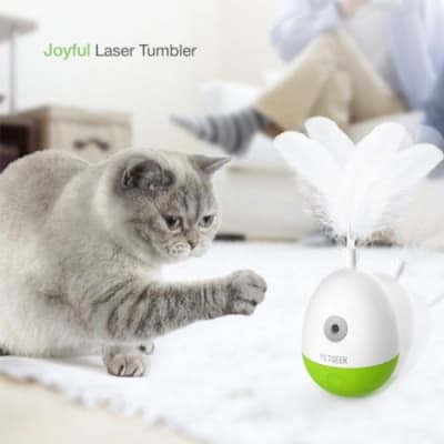Egg Laser Tumbler