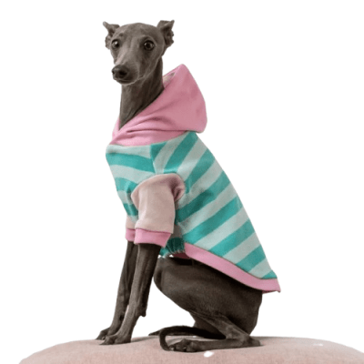 HOT DOGZ HOODIE MINT AND PINK STRIPES1