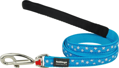 REDDINGO STARS WHITE OK TURQUOISE-TALLA XS (12 mm)