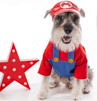 DISFRAZ SCRAPPIE SHOPPER MARIO BROS