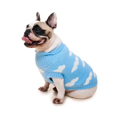 PRETTY PET SUETERS NUBES CELESTE-XS1
