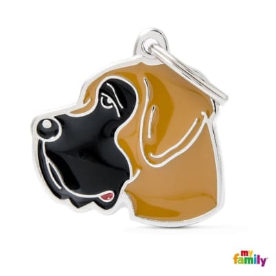 MY FAMILY FAWN GREAT DANE1