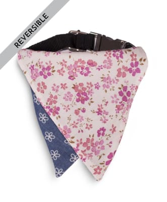 BAUL DE COCO BANDANA MELODY TWIST (XXSMALL)