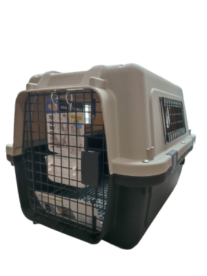 ACCECAN TRANSPORTADOR L60 (XGH-2)