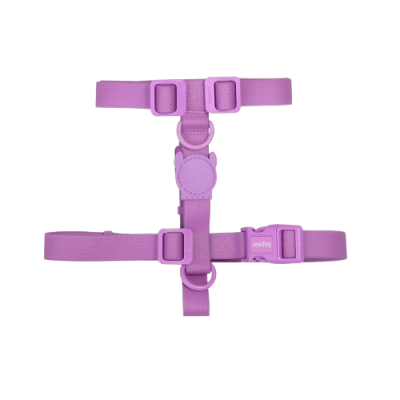 ZEEDOG ARNES NEOPRENO VIOLET1