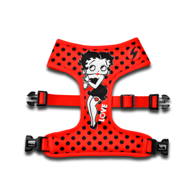 DASHI PECHERA VINTAGE BETTY NEO MESH