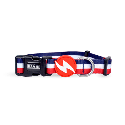 DASHI COLLAR STRIPES³ RED & BLUE