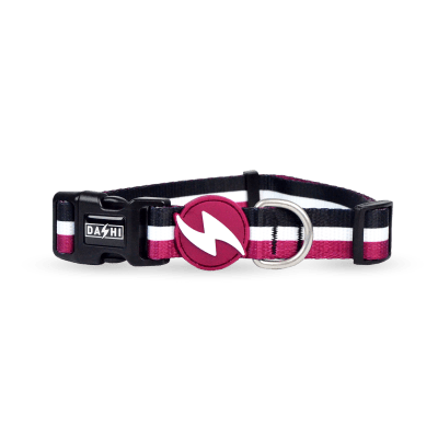 DASHI COLLAR STRIPES³ PURPLE & BLACK