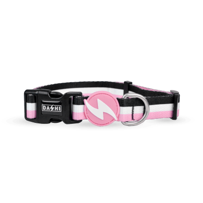 DASHI COLLAR STRIPES³ PINK & BLACK1