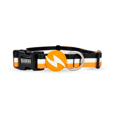 DASHI COLLAR STRIPES³ ORANGE & BLACK- LARGE1