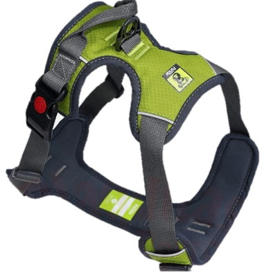 GOLDEN PANDA PECHERA VERDE1