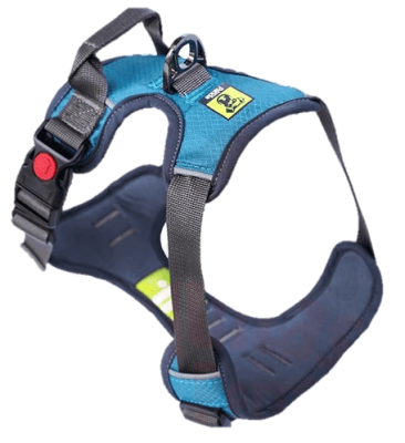 GOLDEN PANDA PECHERA VERDE TURQUESA2