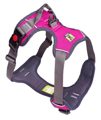 GOLDEN PANDA PECHERA FUCSIA