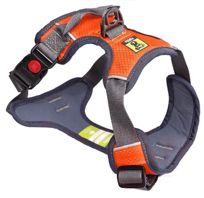 GOLDEN PANDA PECHERA NARANJA-LARGE