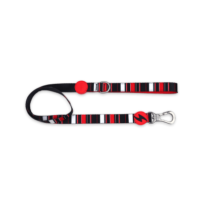 DASHI LEASH SLIDE