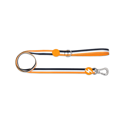 DASHI LEASH STRIPES³ ORANGE & BLACK-LARGE