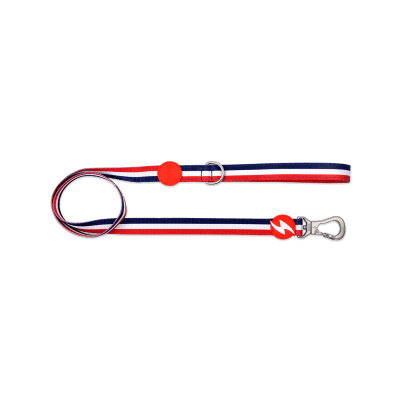 DASHI LEASH STRIPES³ RED & BLUE-SMALL