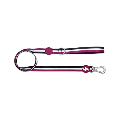 DASHI LEASH STRIPES³ PURPLE & BLACK