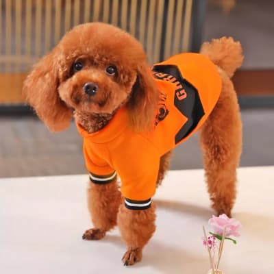 HOOPET POLERA CALABAZA HALLOWEEN 