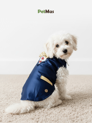 MONCHERI CAPA ELEGANTE AZUL CON MOÑO DORADO