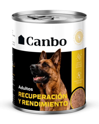 CANBO (PERRO) ADULTO RECUPERACIÓN Y RENDIMIENTO LATA