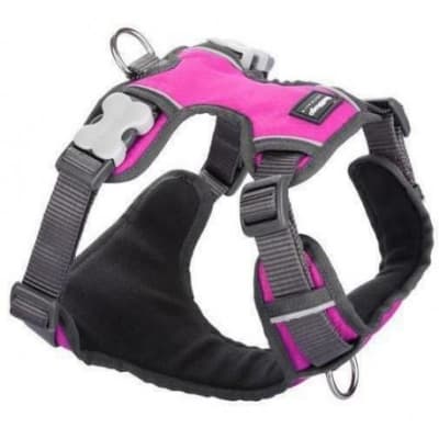 REDDINGO HARNES HOT PINK 1