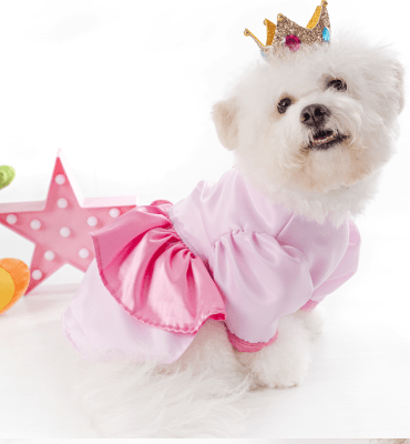 DISFRAZ SCRAPPIE SHOPPER PRINCESA PEACH