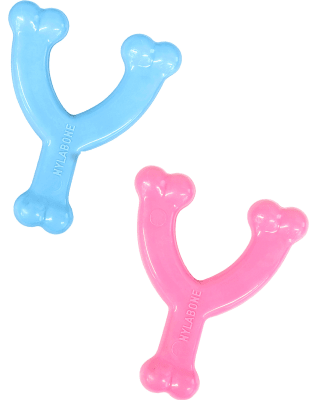 NYLABONE CHEW MORDEDOR PARA CACHORRO