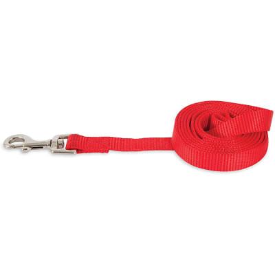 PETMATE CORREA DE NYLON T. SMALL