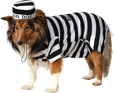 DISFRAZ DE PRISIONERO PET DOG