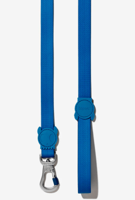 ZEEDOG CORREA NEOPRENO BLUE-SMALL