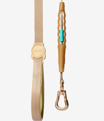 ZEEDOG CORREA AIRLEASH KIM