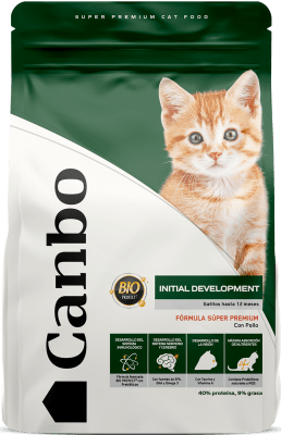 CANBO (GATO) CACHORRO INITIAL DEVELOPMENT