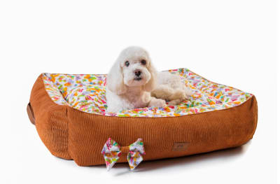 MONCHÉRI CAMA CORDUROY MARRÓN MARIPOSA-M1