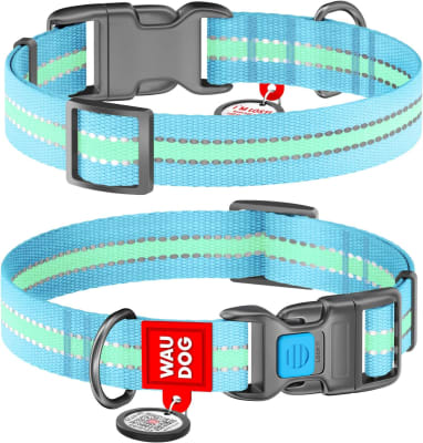 WAUDOG COLLAR BLUE HEBILLA FASTEX DE PLASTICO PERRO1