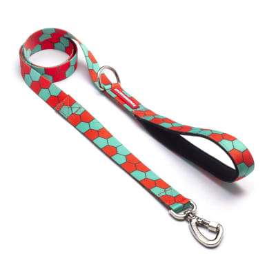 CACHORREIROS CORREA/TIRO MODELO HONEY- PEQUEÑO1