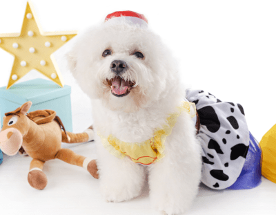 DISFRAZ SCRAPPIE SHOPPER VAQUERA JESSIE- TALLA 2