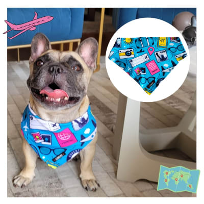COSHUPET BANDANA VIAJES