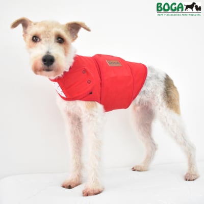 BOGA FAJA RELAJANTE ROJO-XS1