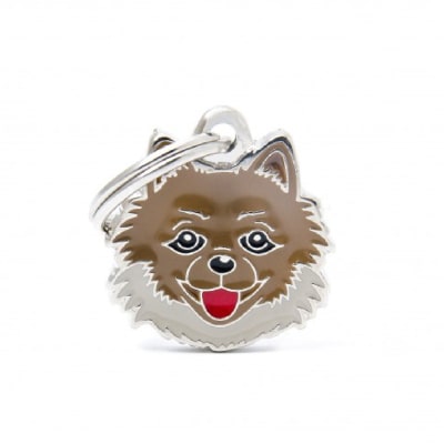 MY FAMILY POMERANIAN1